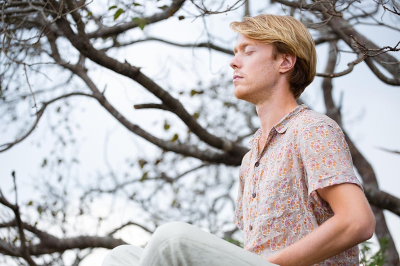 Mindfulness Workshops
